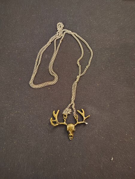 File:Amulet of Woodhaven.jpg